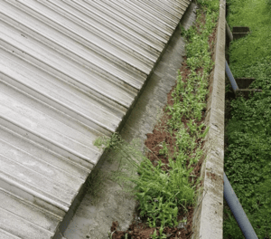 Happy customers in Banbury who trust The Roof Moss Cleaners for gutter cleaning services